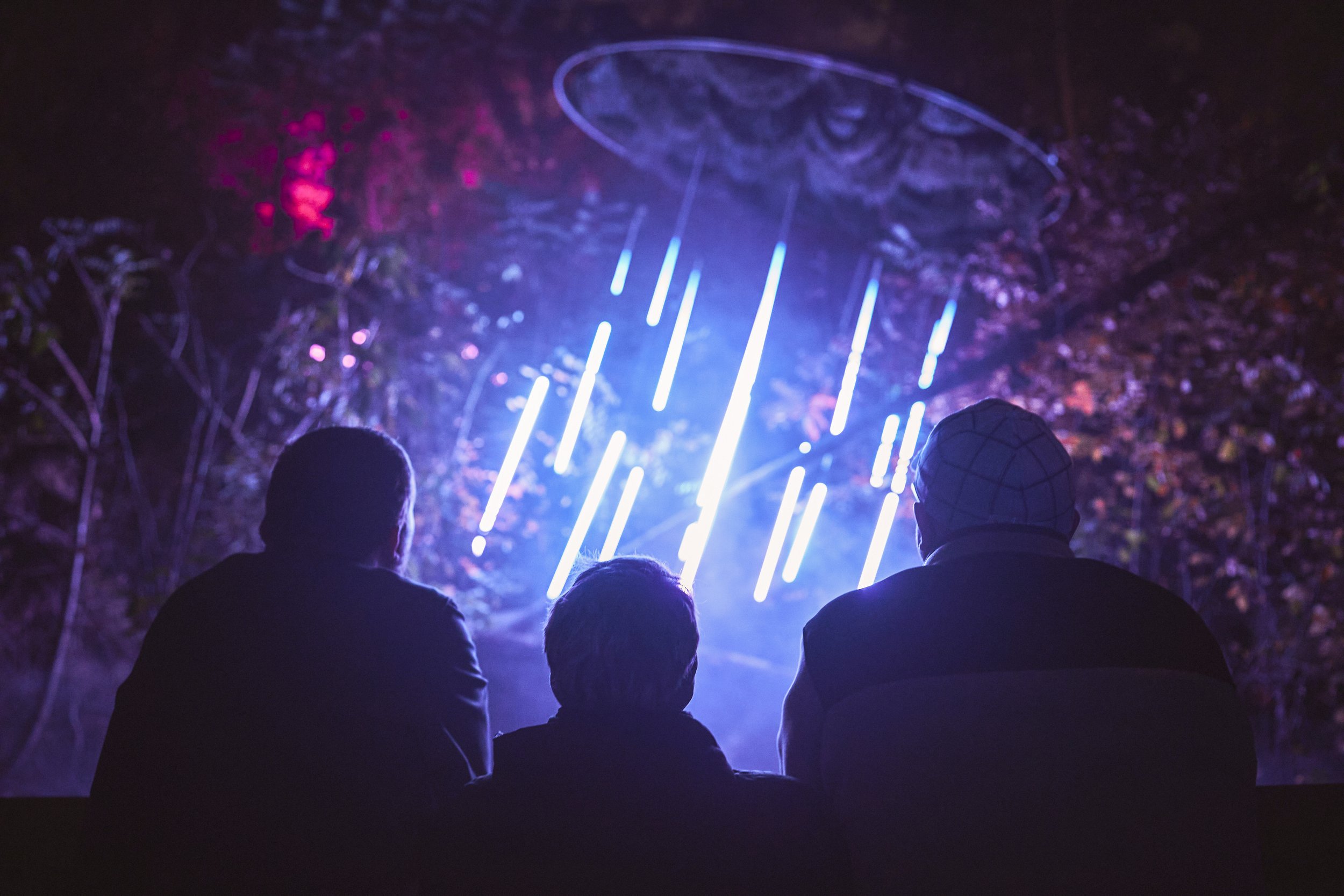 Astra Lumina Returns to the Seattle Chinese Garden | Seattle